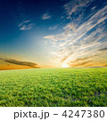 4247380