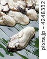 大粒の生牡蠣