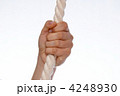 4248930