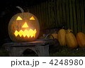 4248980