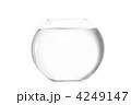 4249147
