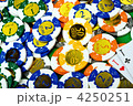 4250251