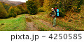4250585