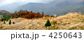 4250643
