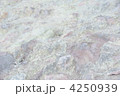 硫黄山の不思議な色の岩