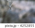 雪解けの季節 雪解けの季節