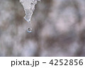 雪解けの季節 雪解けの季節