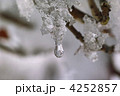 雪解けの季節 雪解けの季節