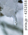雪解けの季節 雪解けの季節