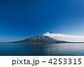 祇園之洲からの桜島