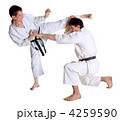 4259590