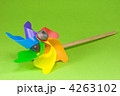 4263102