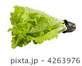 4263976