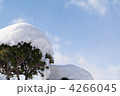 雪の帽子