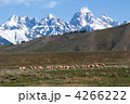Grand Teton National Park