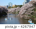 千鳥ヶ淵の桜