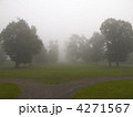 4271567
