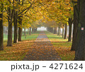 4271624