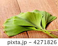 4271826
