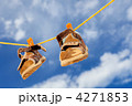 4271853