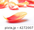 4272007