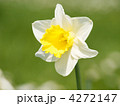 4272147