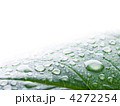 4272254