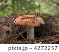 4272257