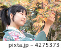 4275373
