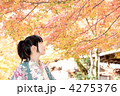 4275376
