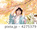 4275379
