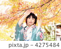 4275484