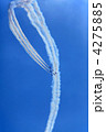 航空ショー