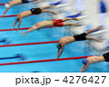 4276427