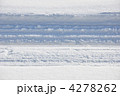 雪の轍