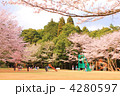 穏やかな時間