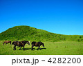 草千里の馬