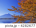 湖畔の紅葉の枝と富士山
