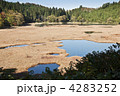 秋の木地山、コケ沼