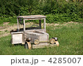 4285007
