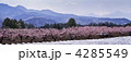 桃畑と蔵王連峰