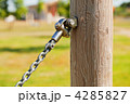 4285827