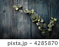 4285870
