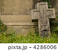 4286006