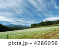 戸隠山と森に囲まれたそば畑
