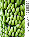 4286394