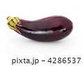 4286537