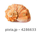 4286633