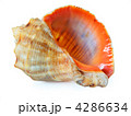 4286634