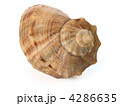 4286635